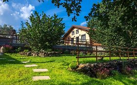 Villa Del Gelso Chalet Nel Parco Delletna